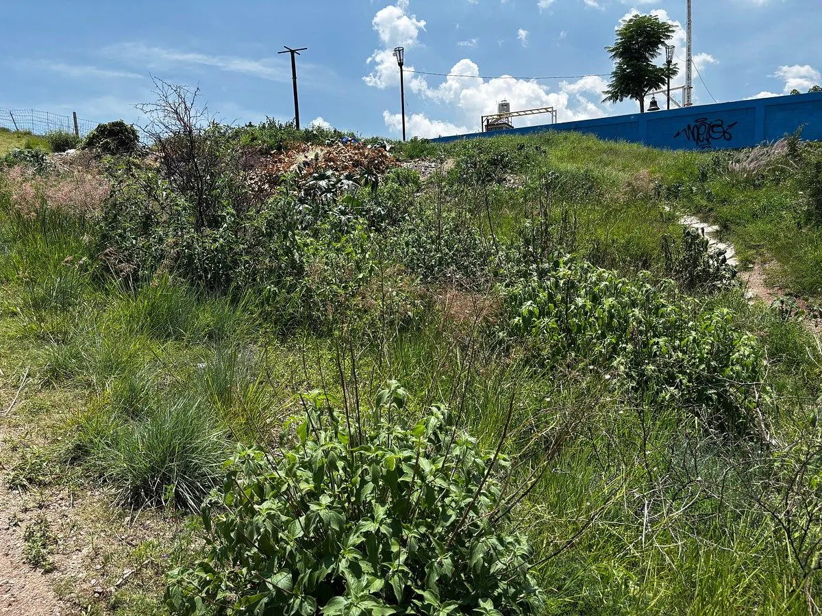 Terreno Spot2