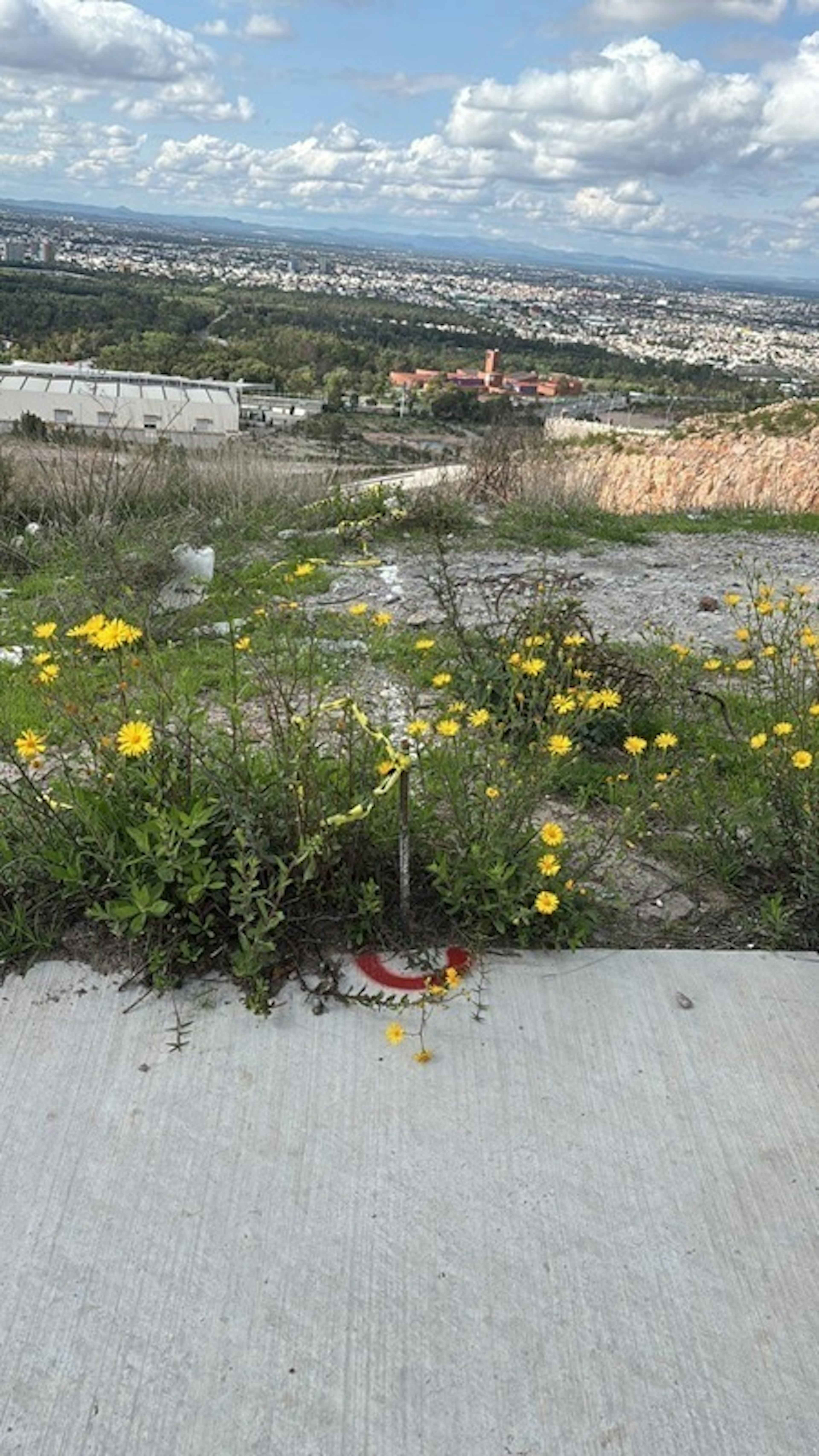 Desarrollo Del Pedregal