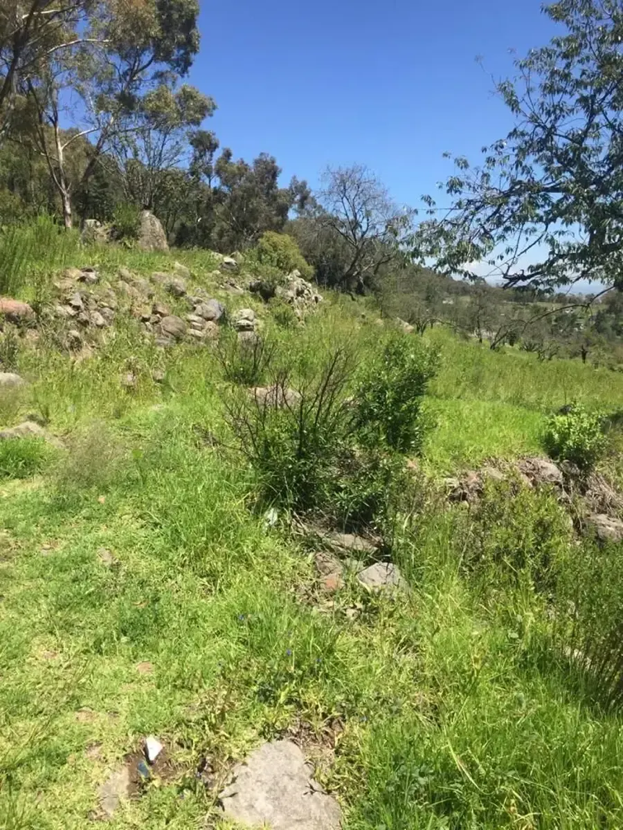 Terreno Spot2