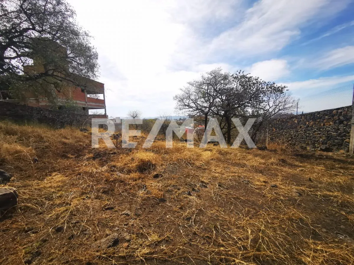 Terreno Spot2