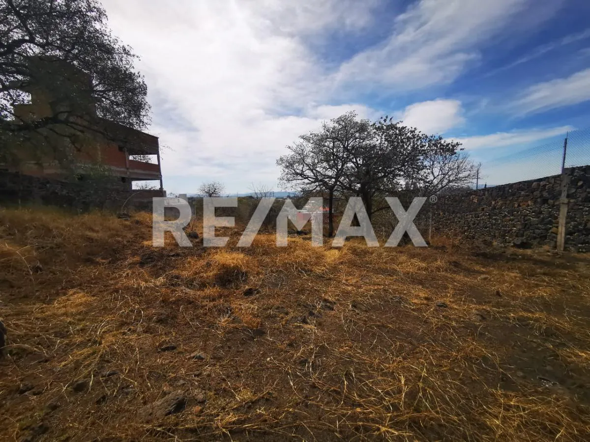 Terreno Spot2