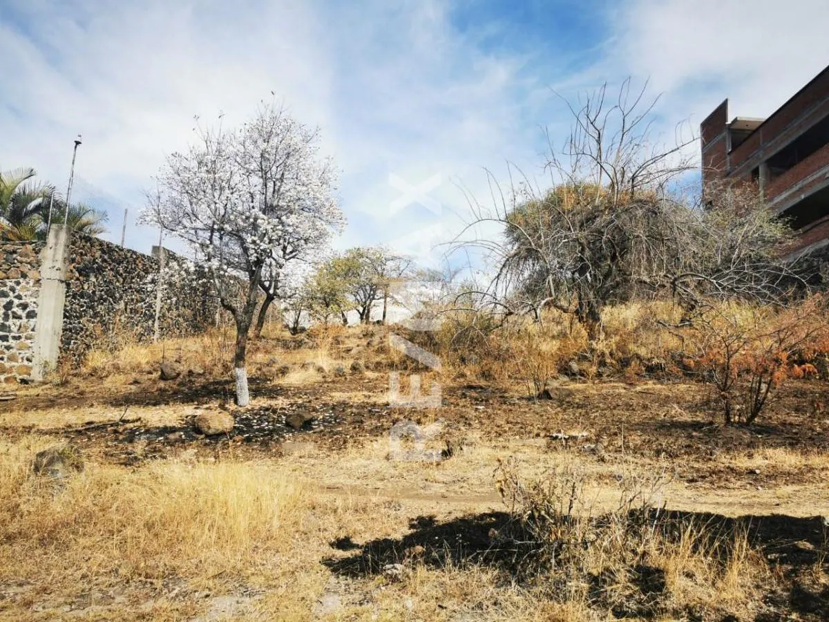 Terreno Spot2