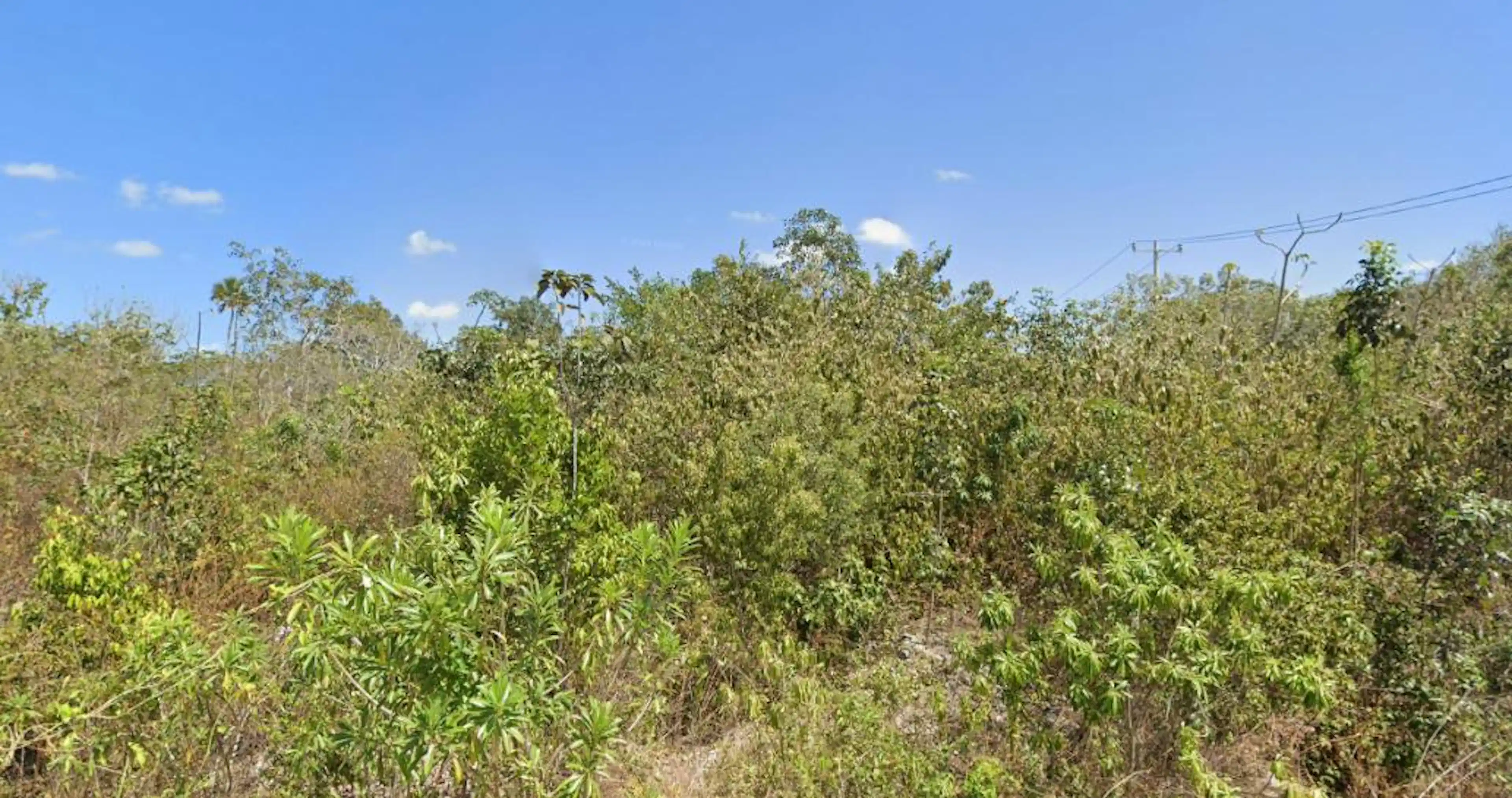 Terreno En Sierra Madre Y Saturno, Alamos Ii