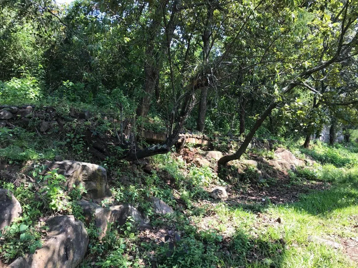 Terreno Spot2