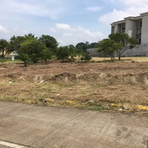 Terreno Spot2