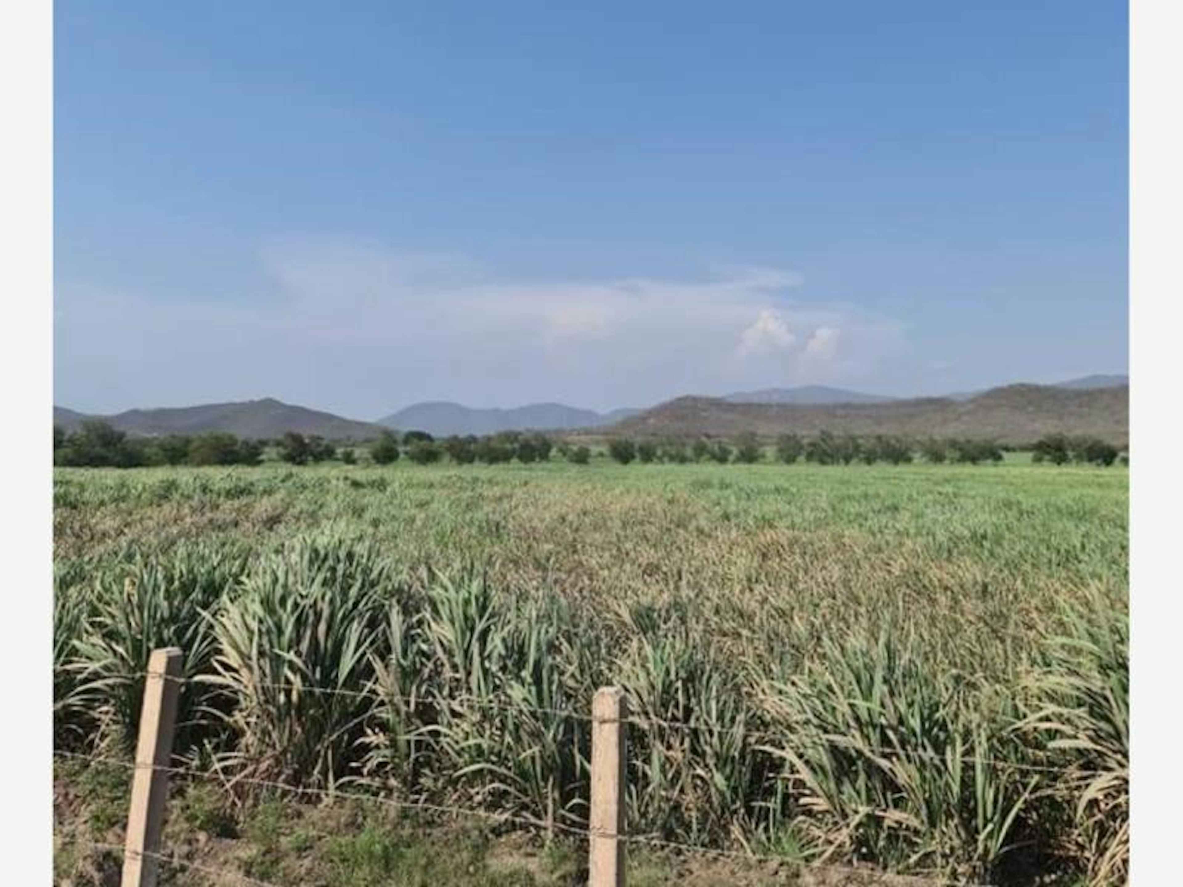 Terreno En Venta En Cuauhtemoc, Cuauhtémoc, Colima