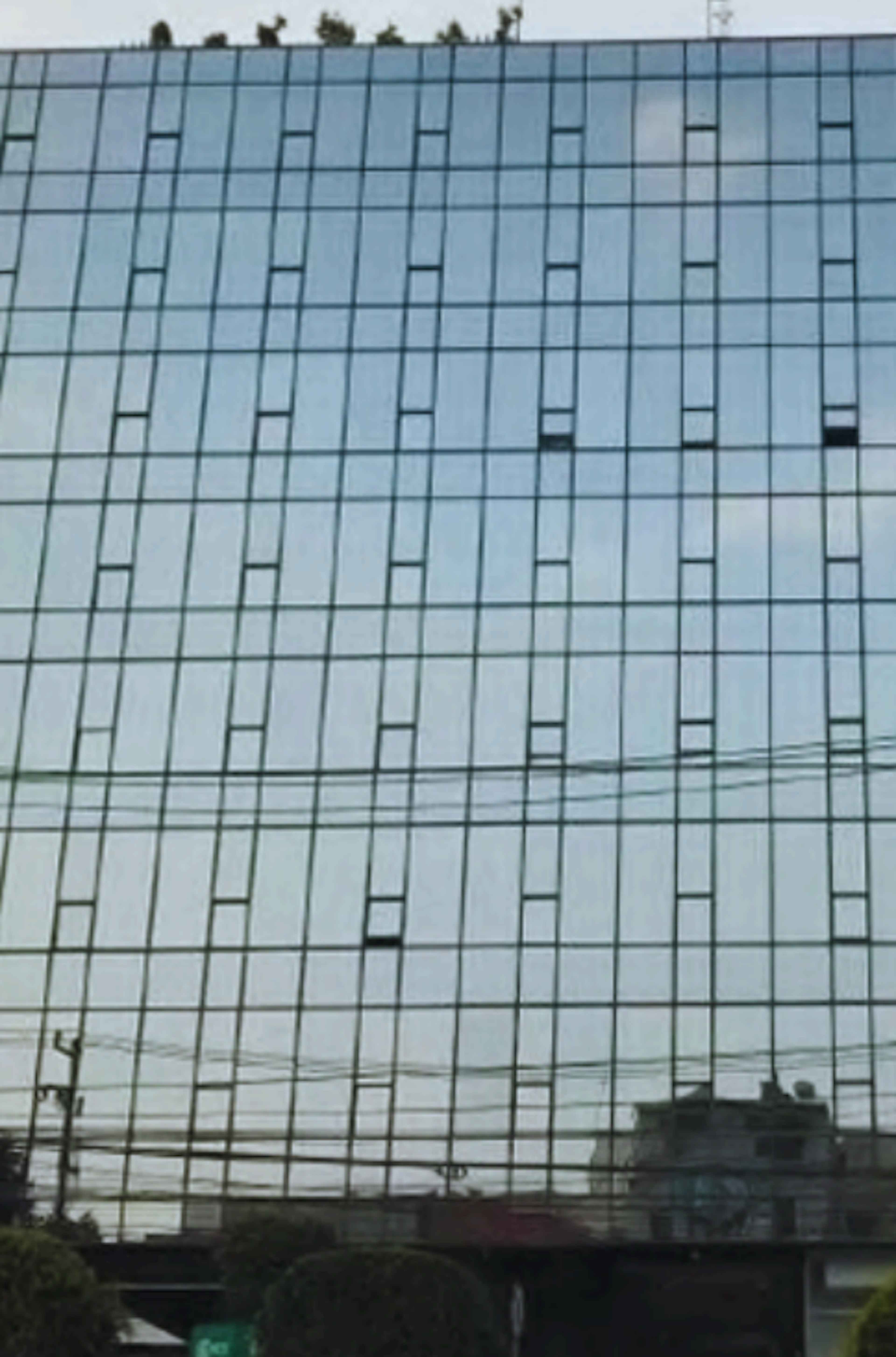 Av. Paseo De Las Palmas No. 239