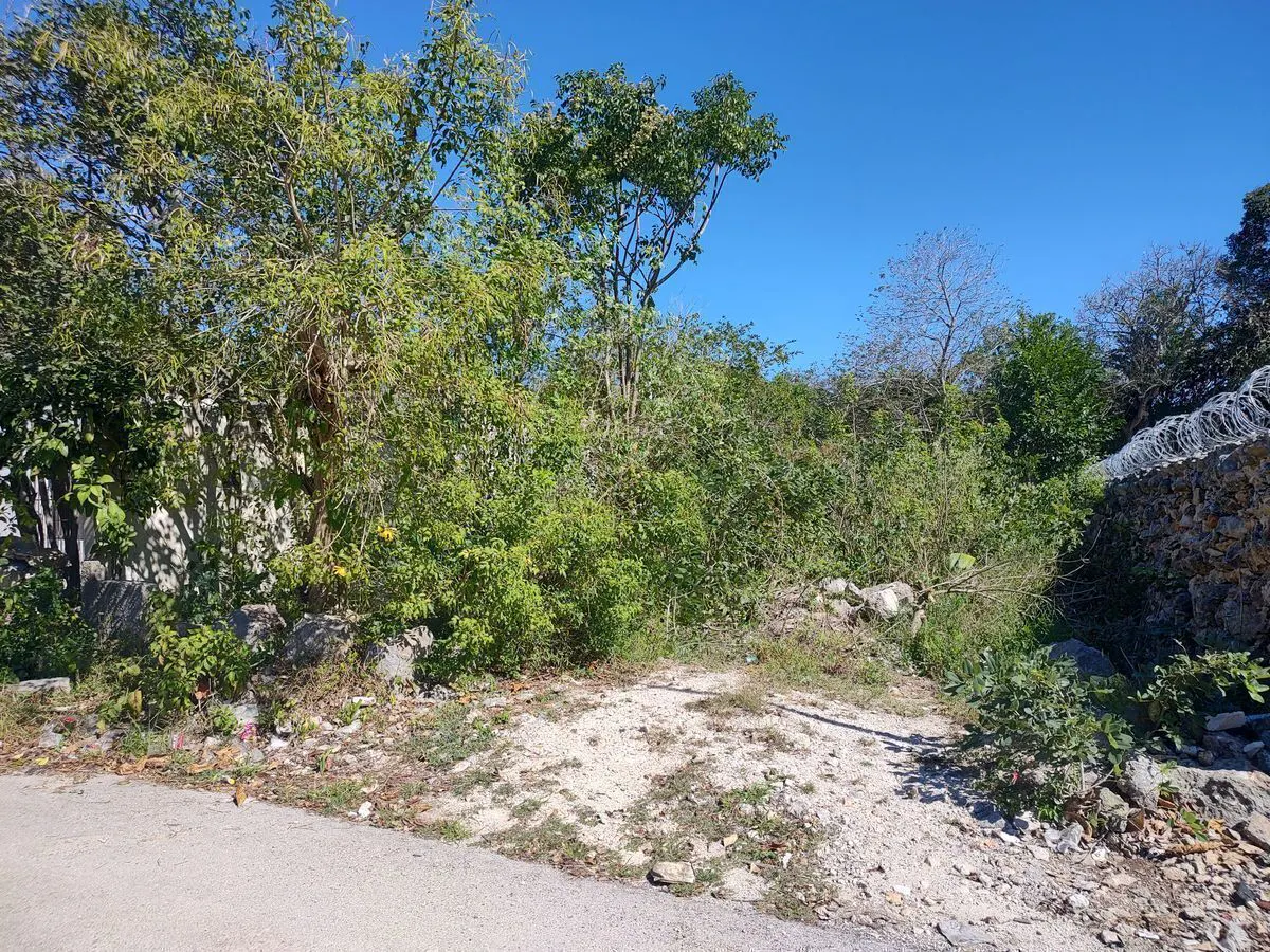 Terreno Spot2