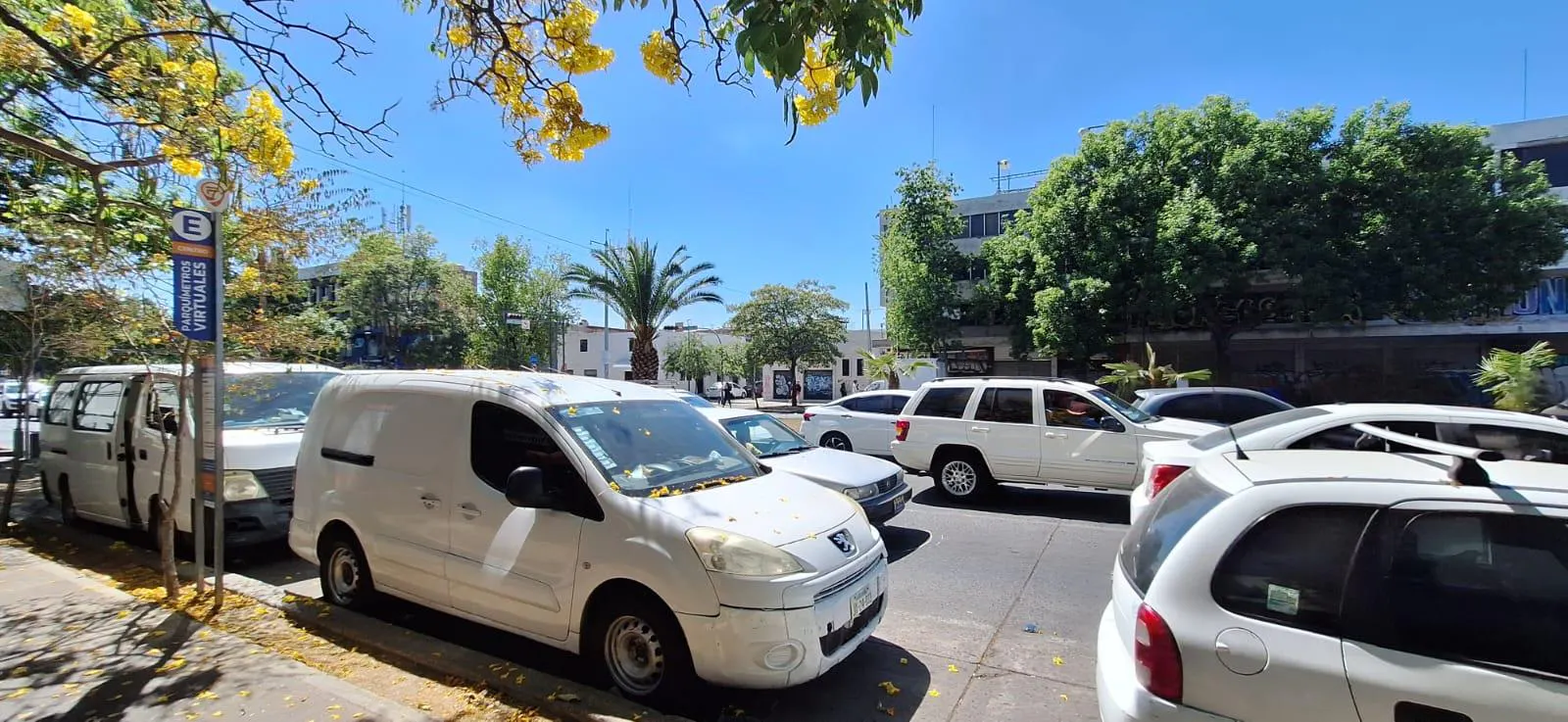 Local Comercial Spot2