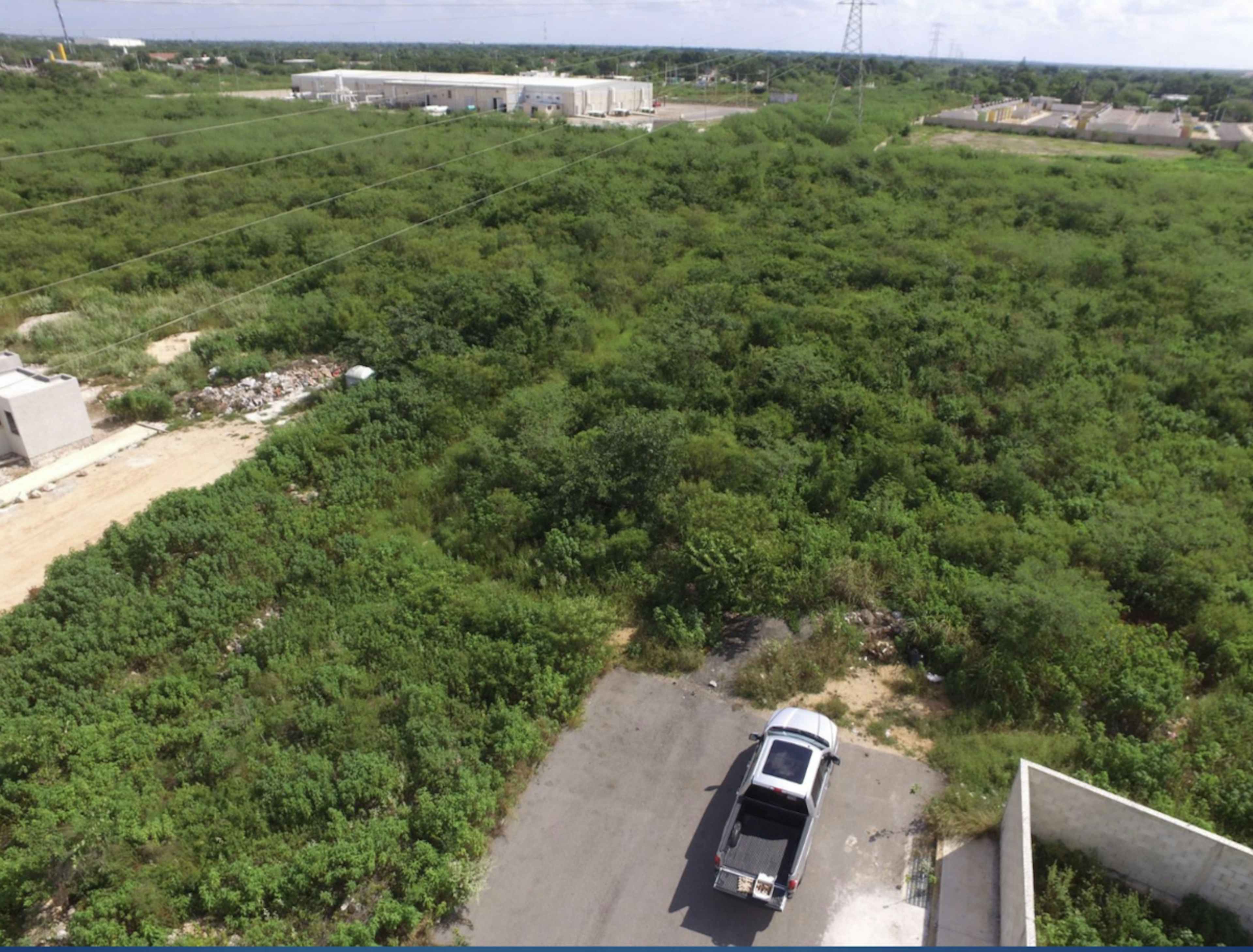 Avenida Leona Vicario None