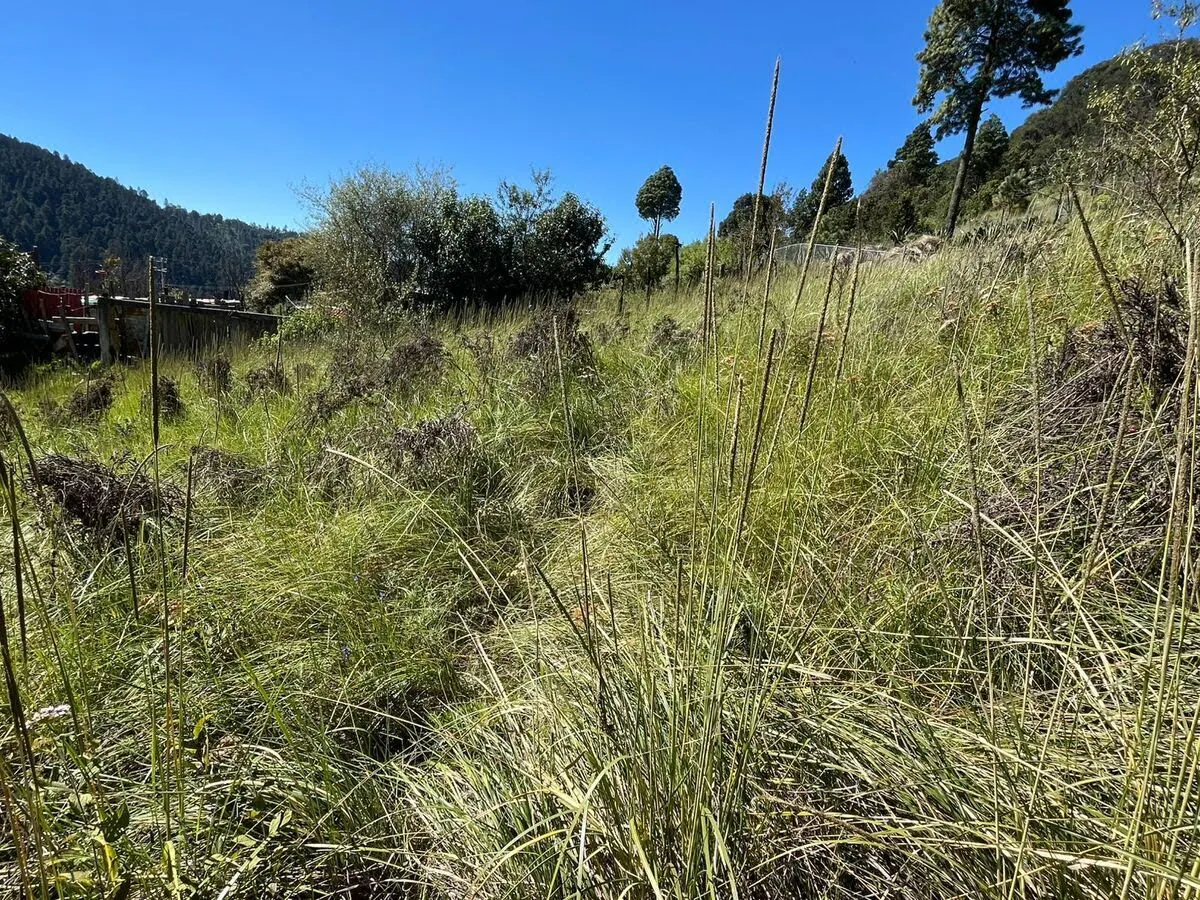 Terreno Spot2