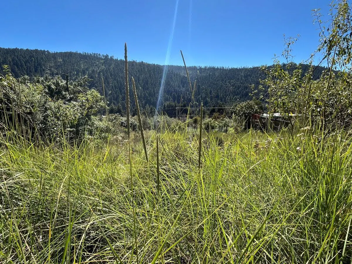 Terreno Spot2