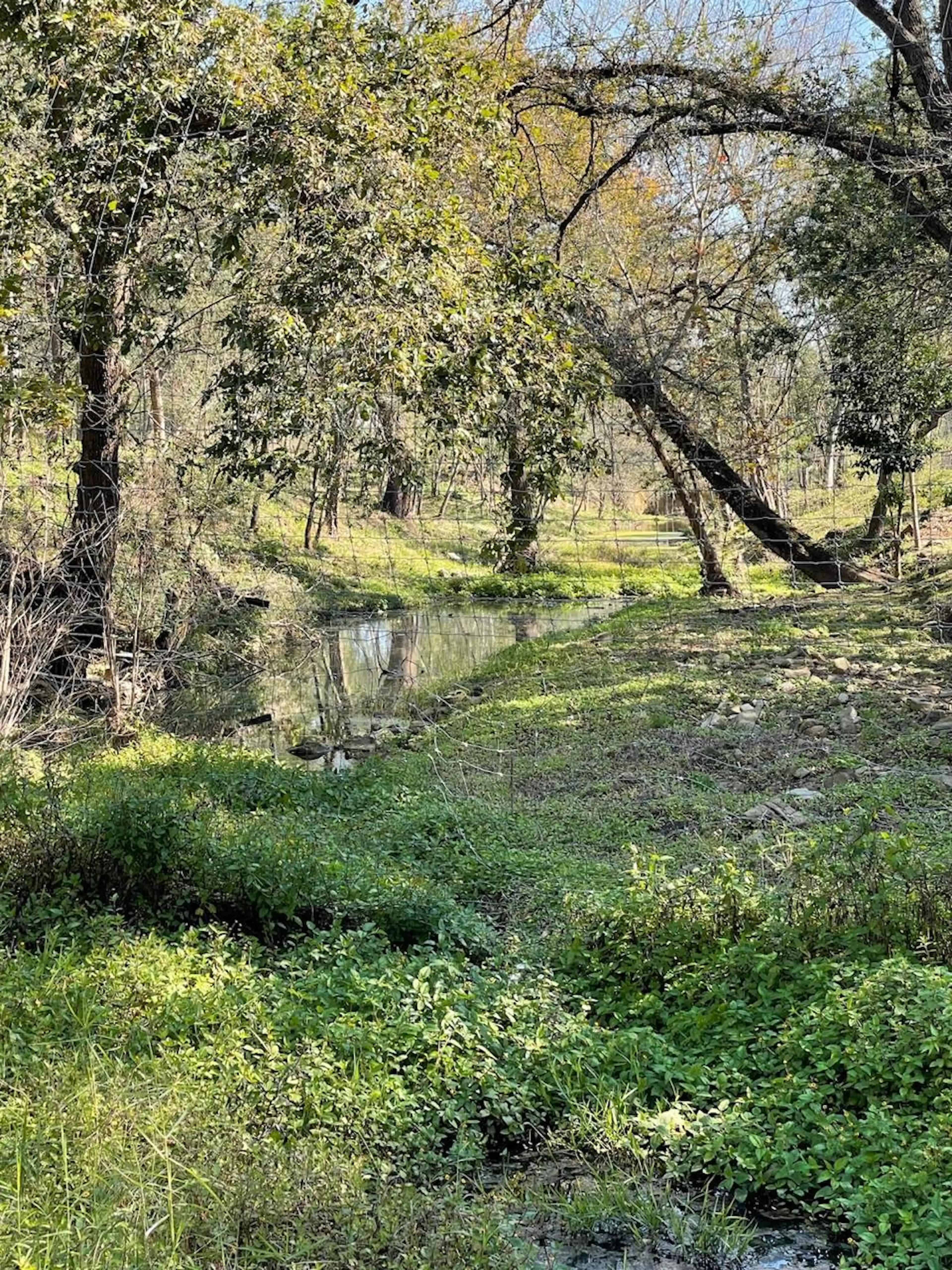 Terreno Campestre en Venta en Montemorelos