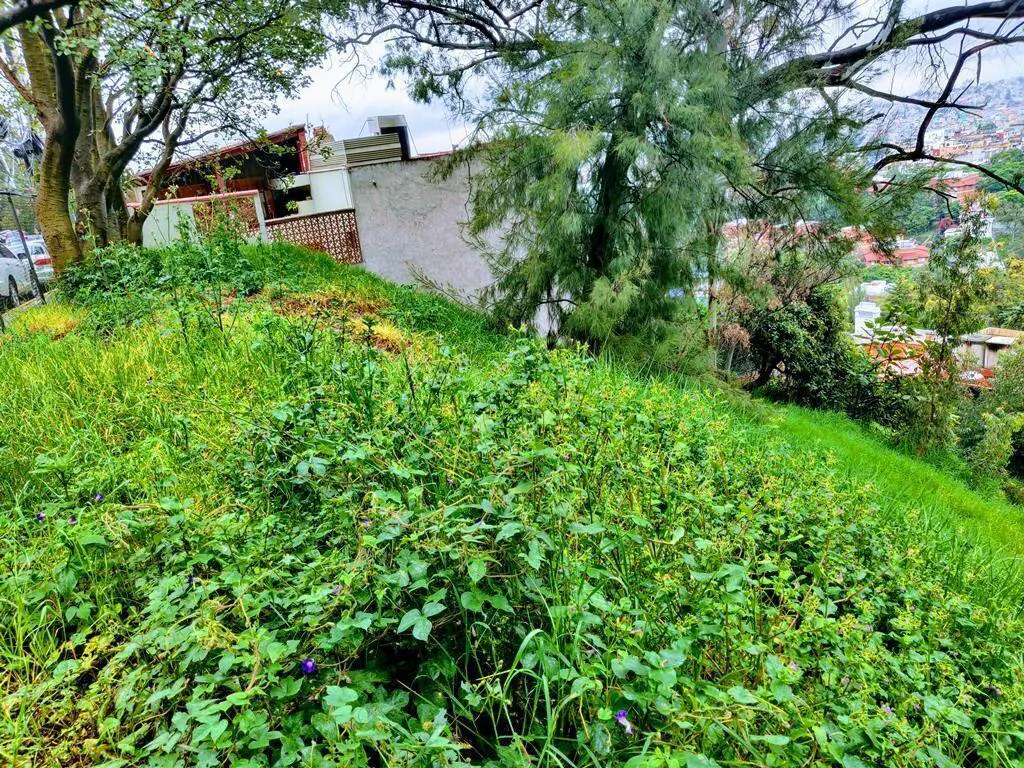 Terreno Spot2