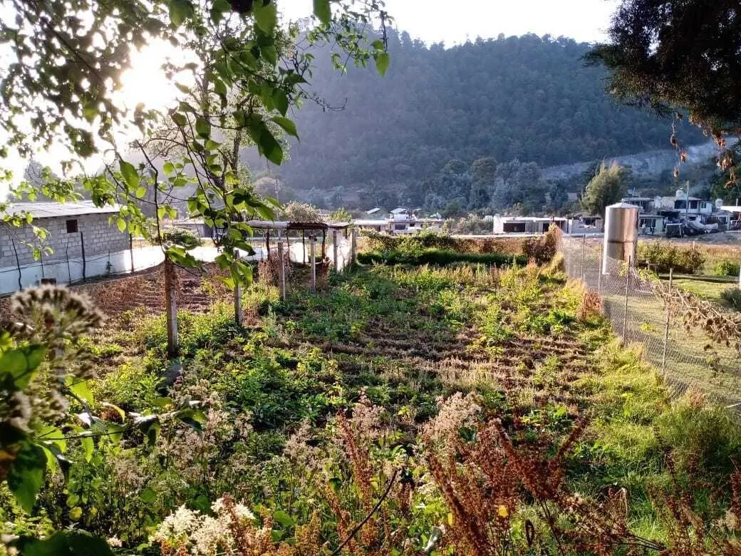 Terreno Spot2