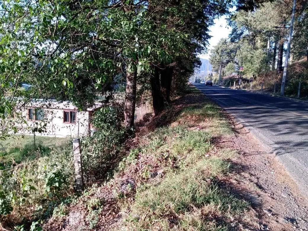 Terreno Spot2