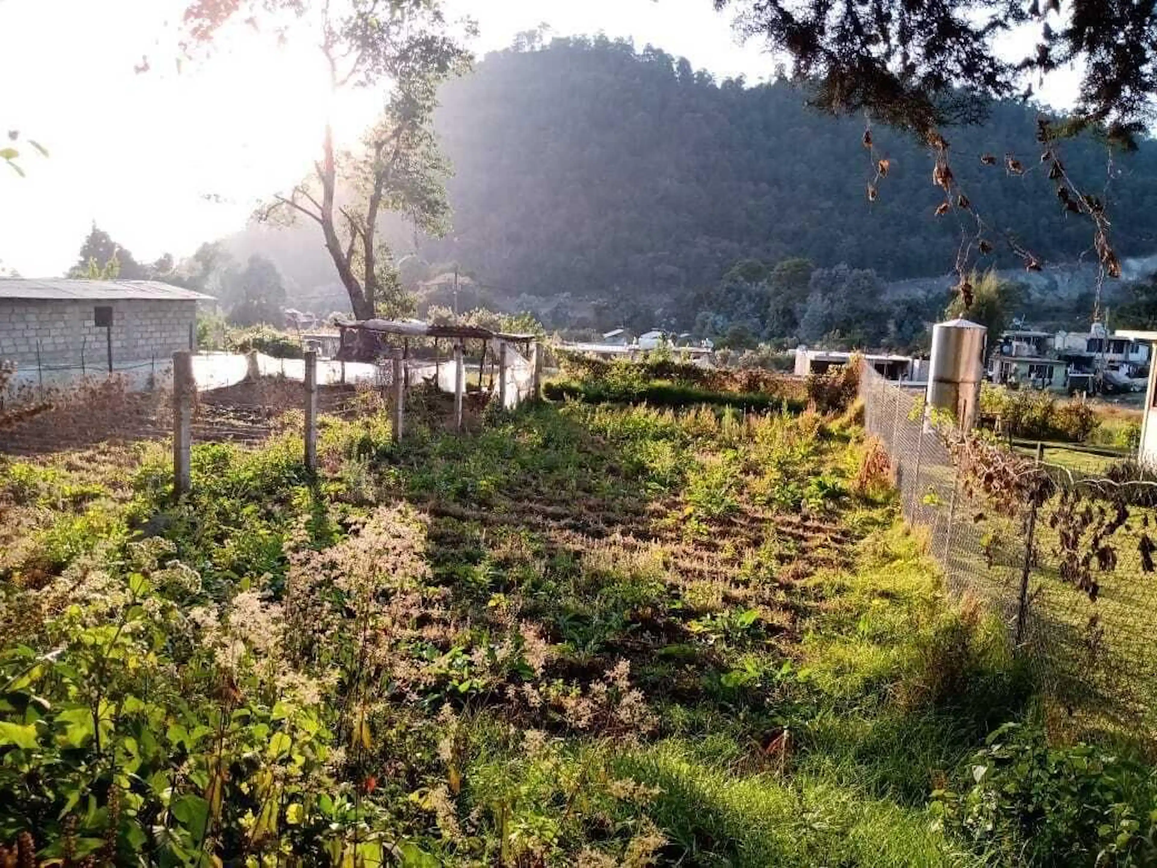 Terreno Plano con Vista al Cerro del Elefante