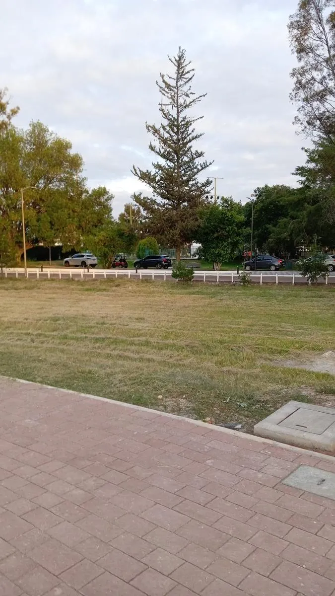 Terreno Spot2