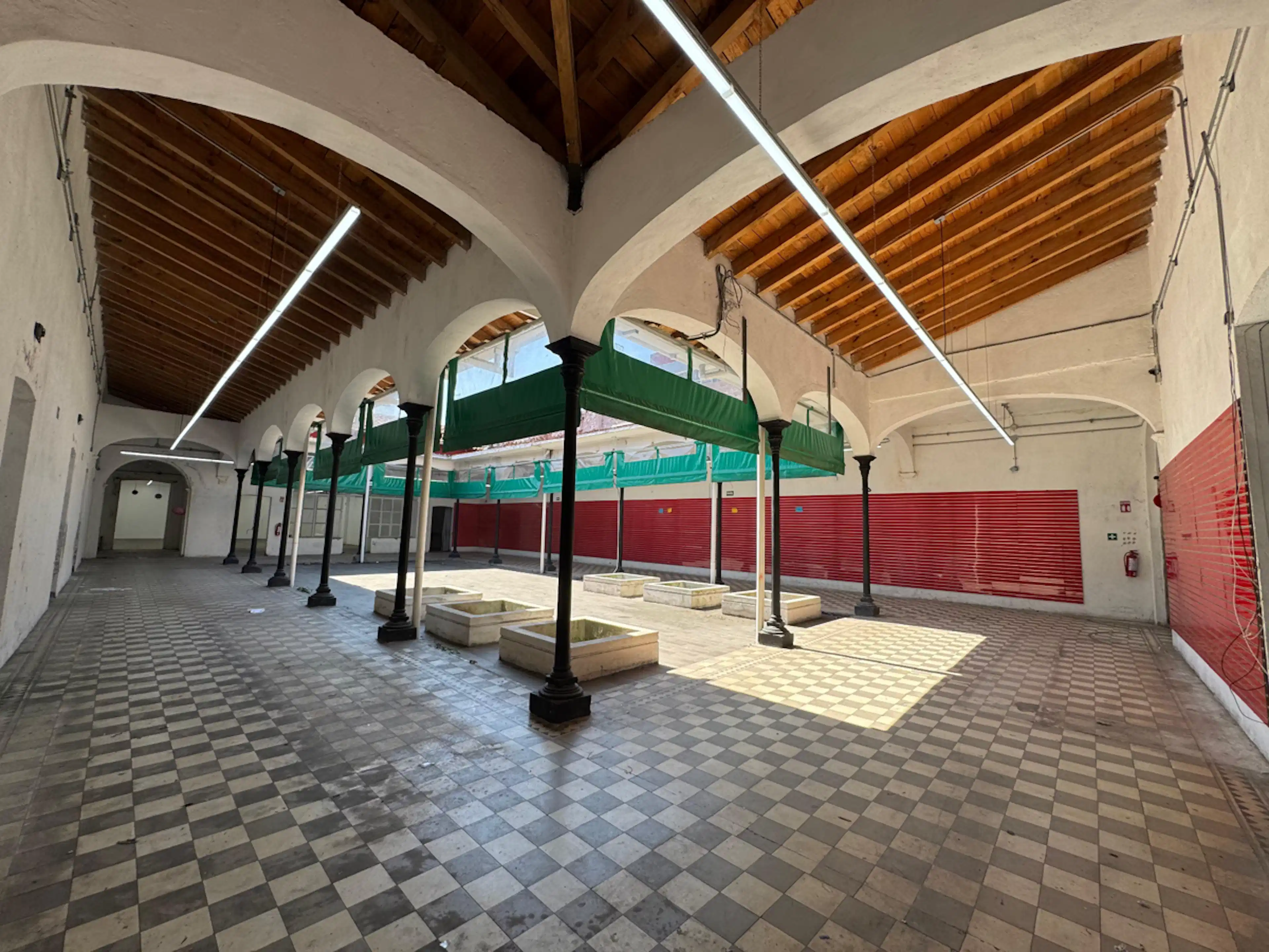 Oriente 6