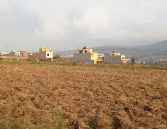 Terreno Spot2