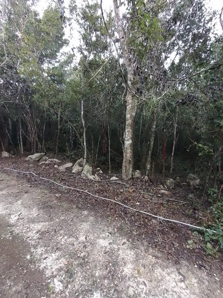 Terreno Spot2