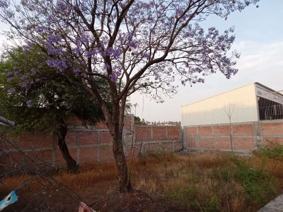 Terreno Spot2