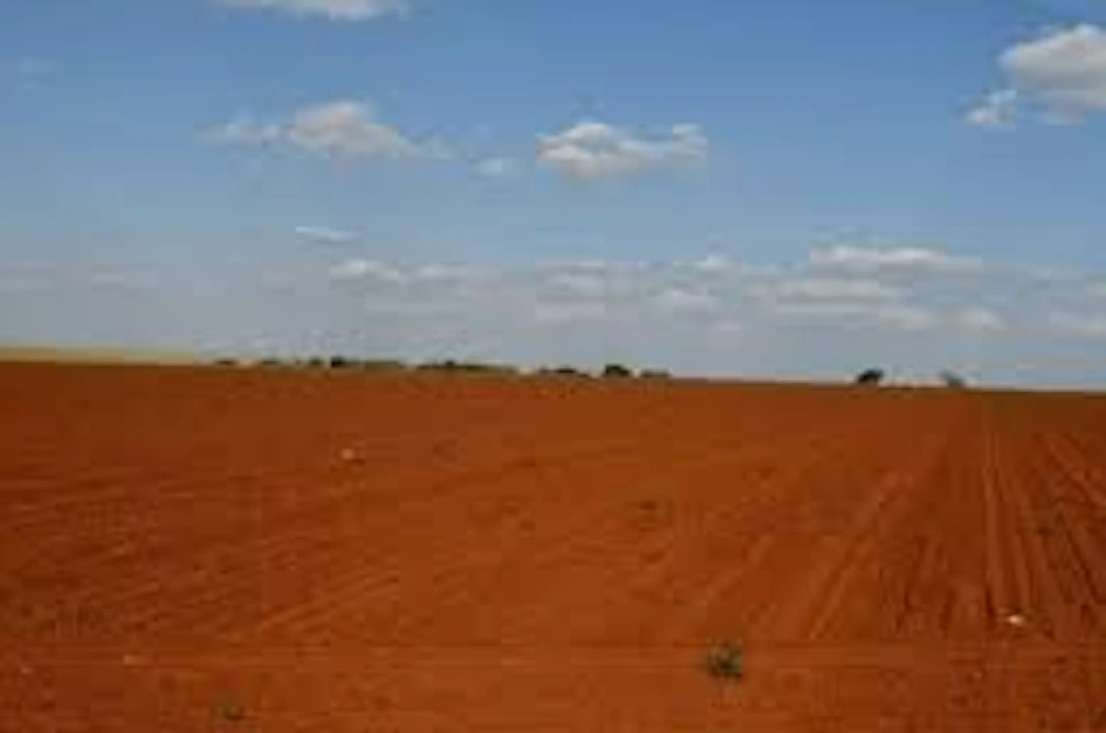Terreno 60