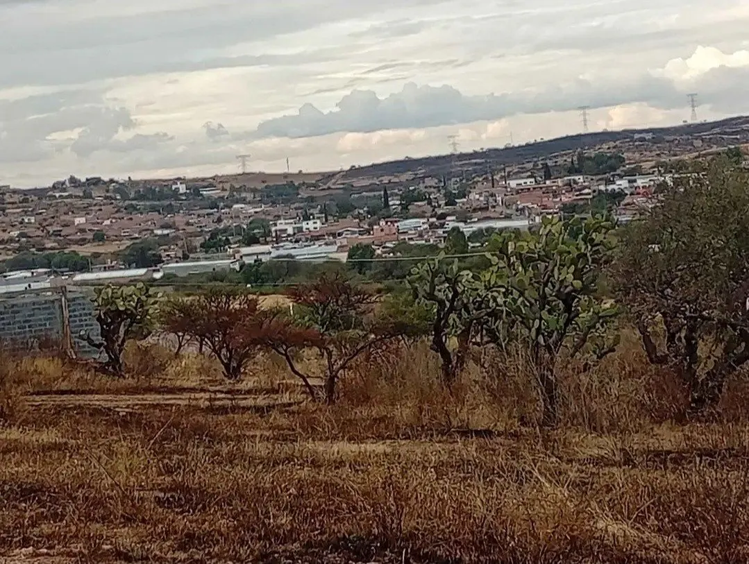 Terreno Spot2