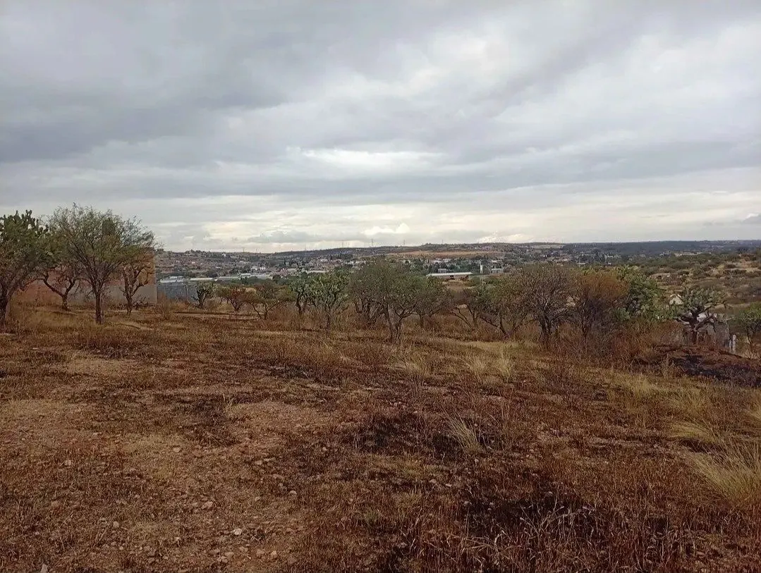 Terreno Spot2