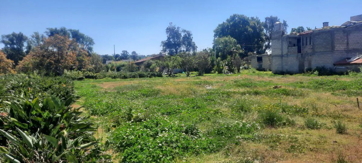 Terreno Spot2