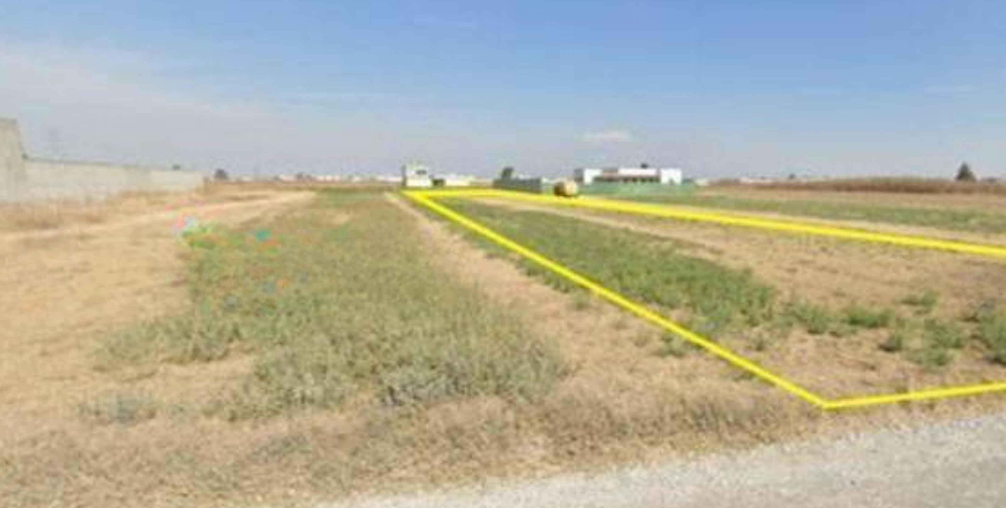 Camino Real A Santa Clara