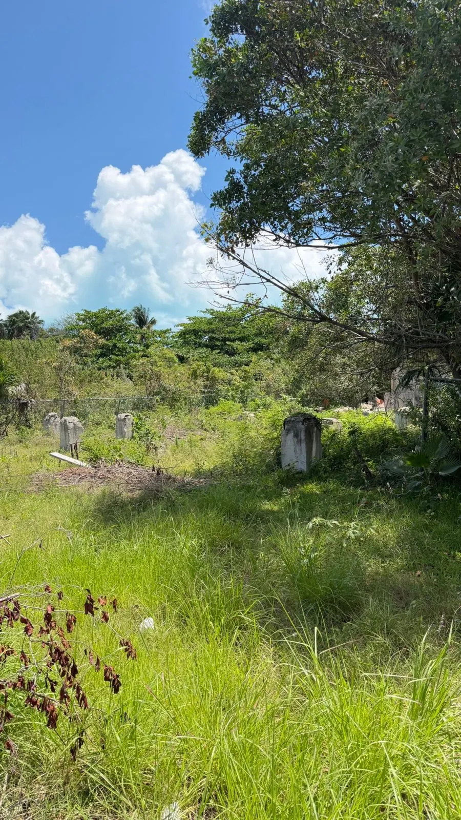 Terreno Spot2