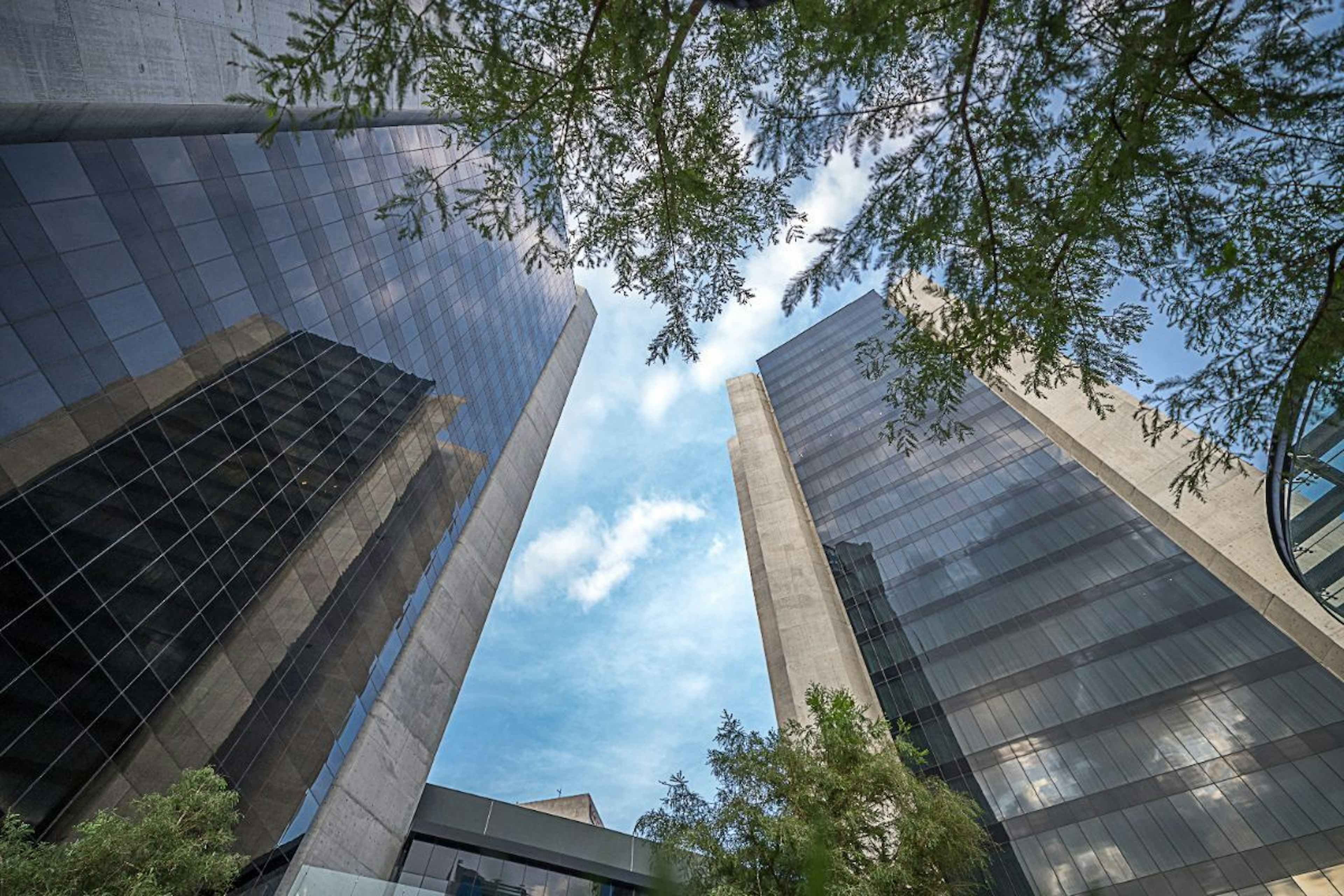 Avenida Lázaro Cárdenas 2424