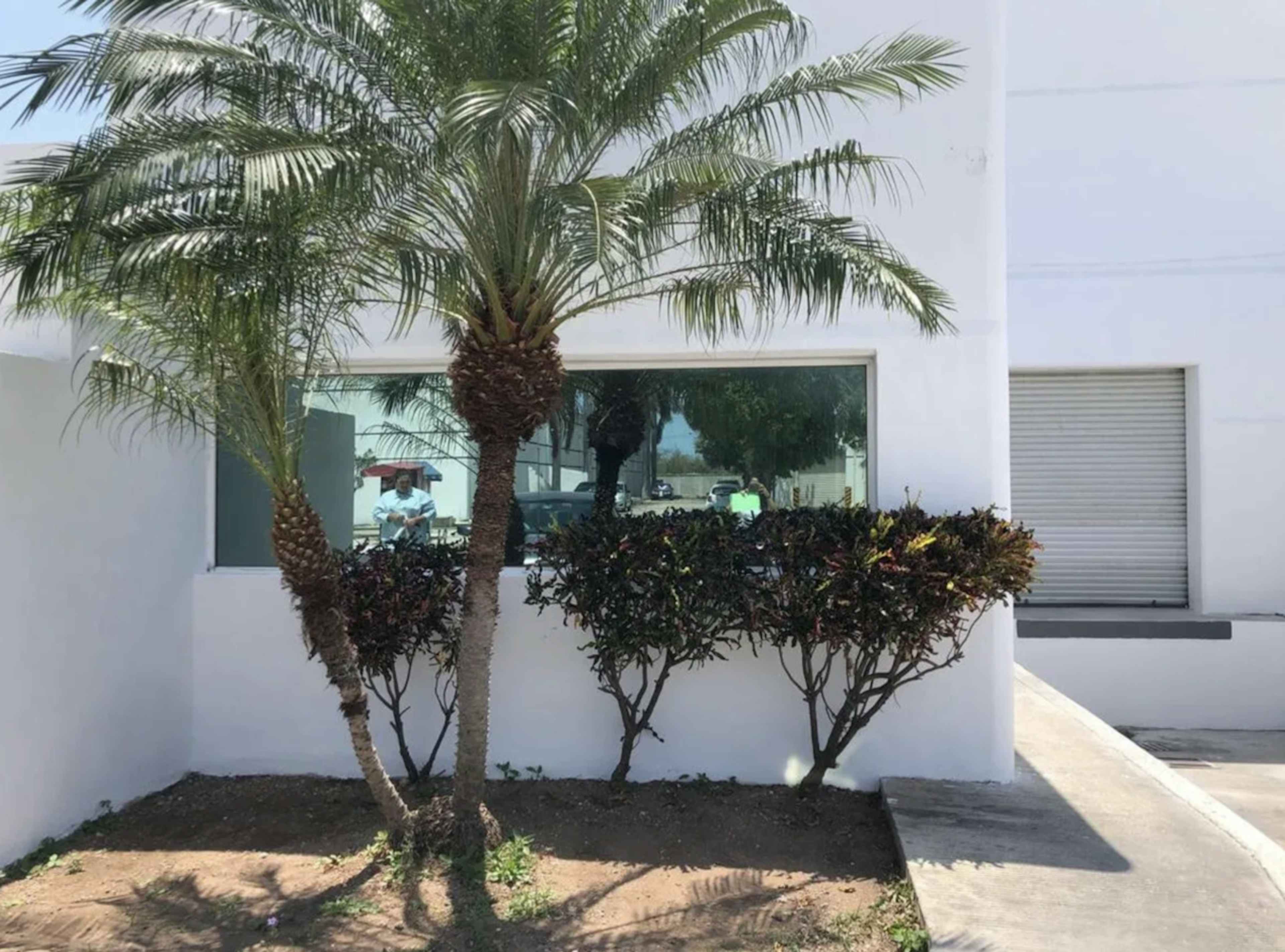 Periférico - San Antonio Ool