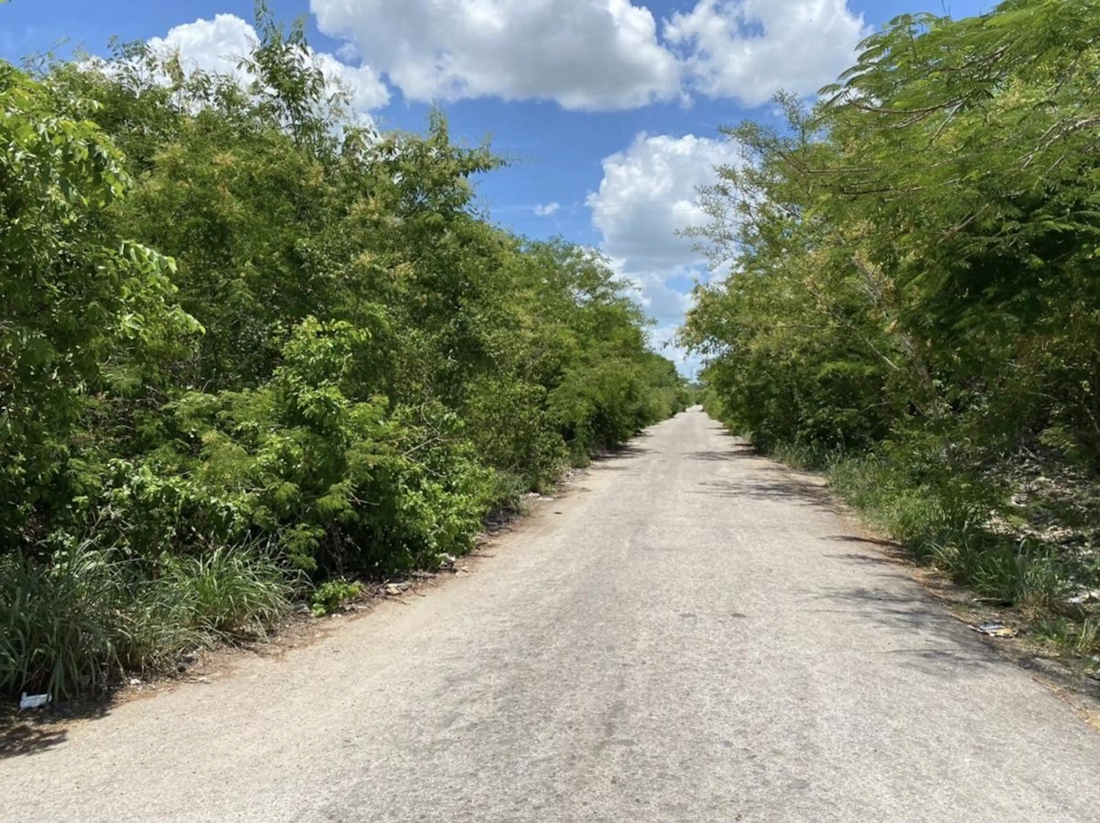 Terreno En Venta En Xcanatúna Tres Cuadras De La Hacienda Xcanatún