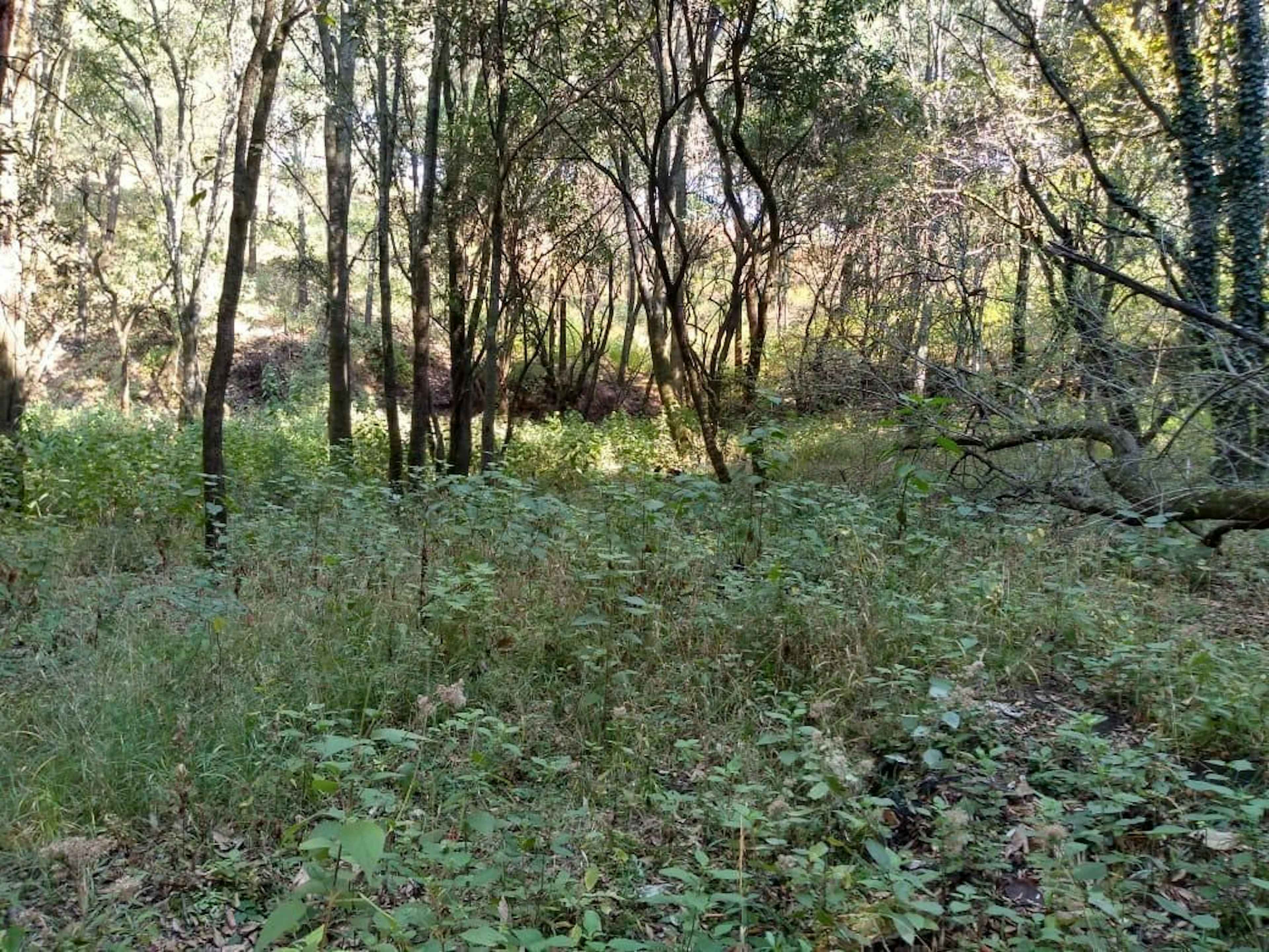 Rancho Blanco Ejido De Espíritu Santo