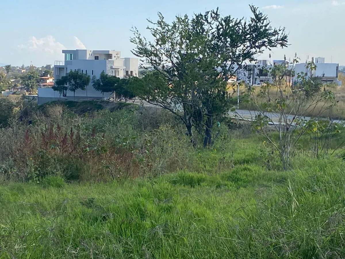 Terreno Spot2