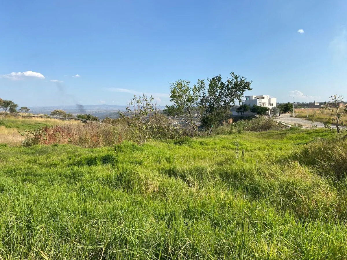 Terreno Spot2