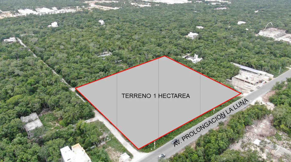 Terreno Spot2