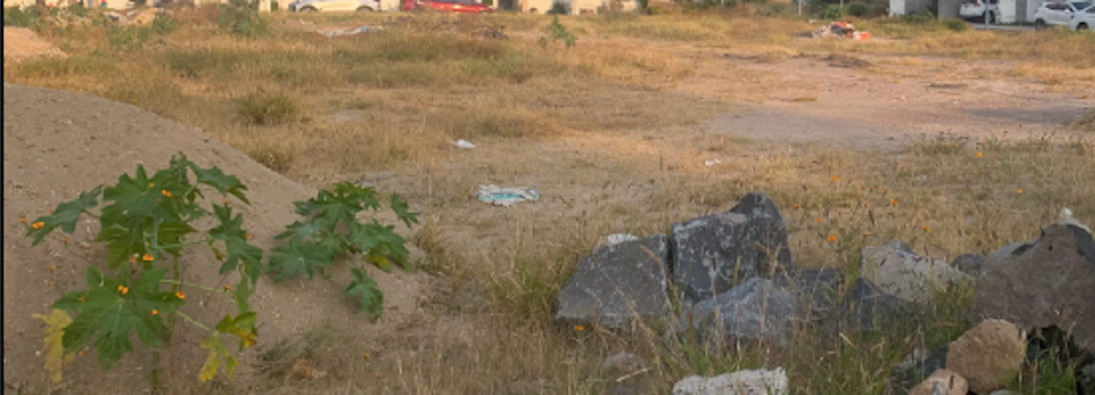 Terreno Spot2