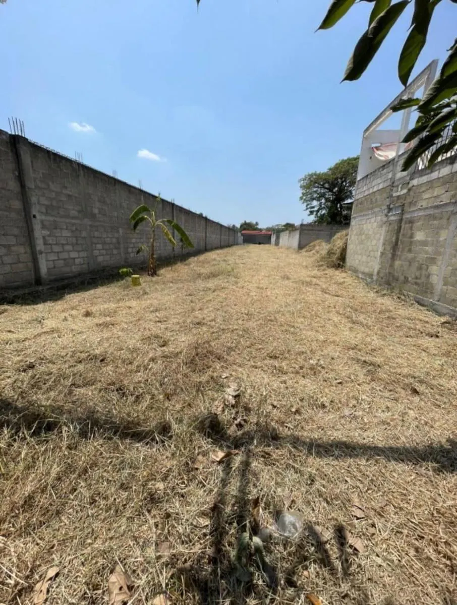 Terreno Spot2
