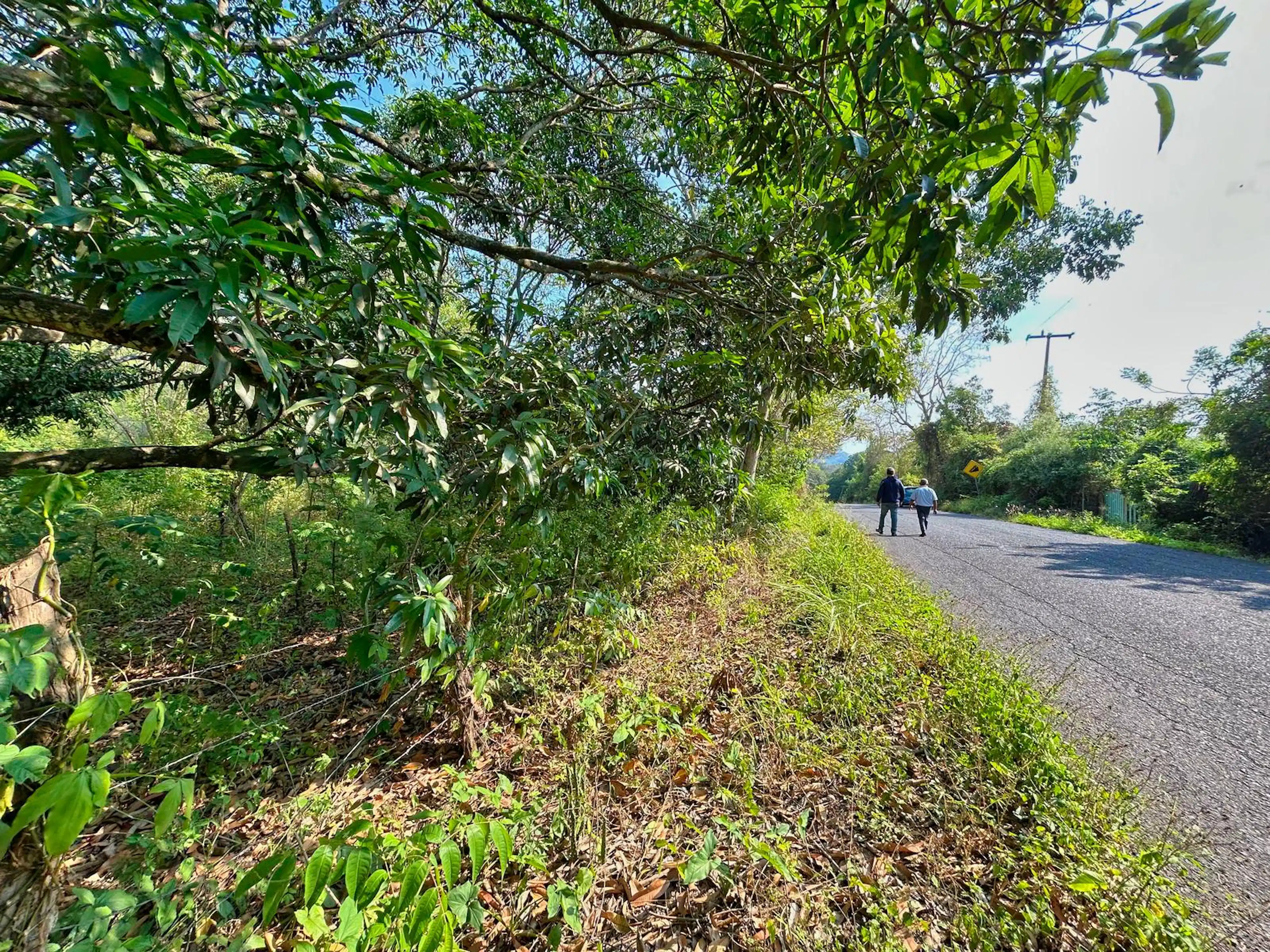 Terreno En Venta En Apazapan Veracruz 5 Hectareas