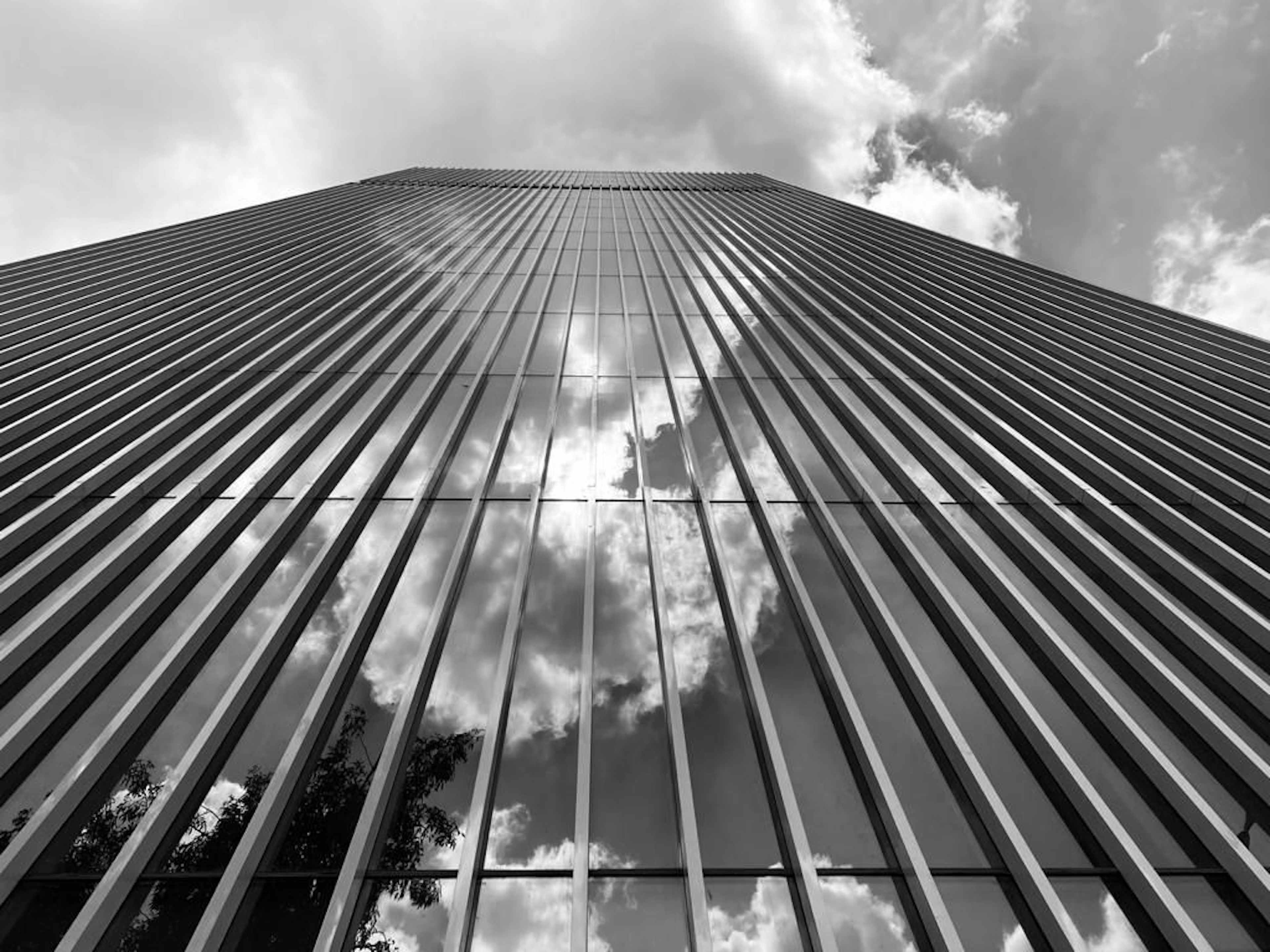 Blvd Adolfo Lopez Mateos 1817