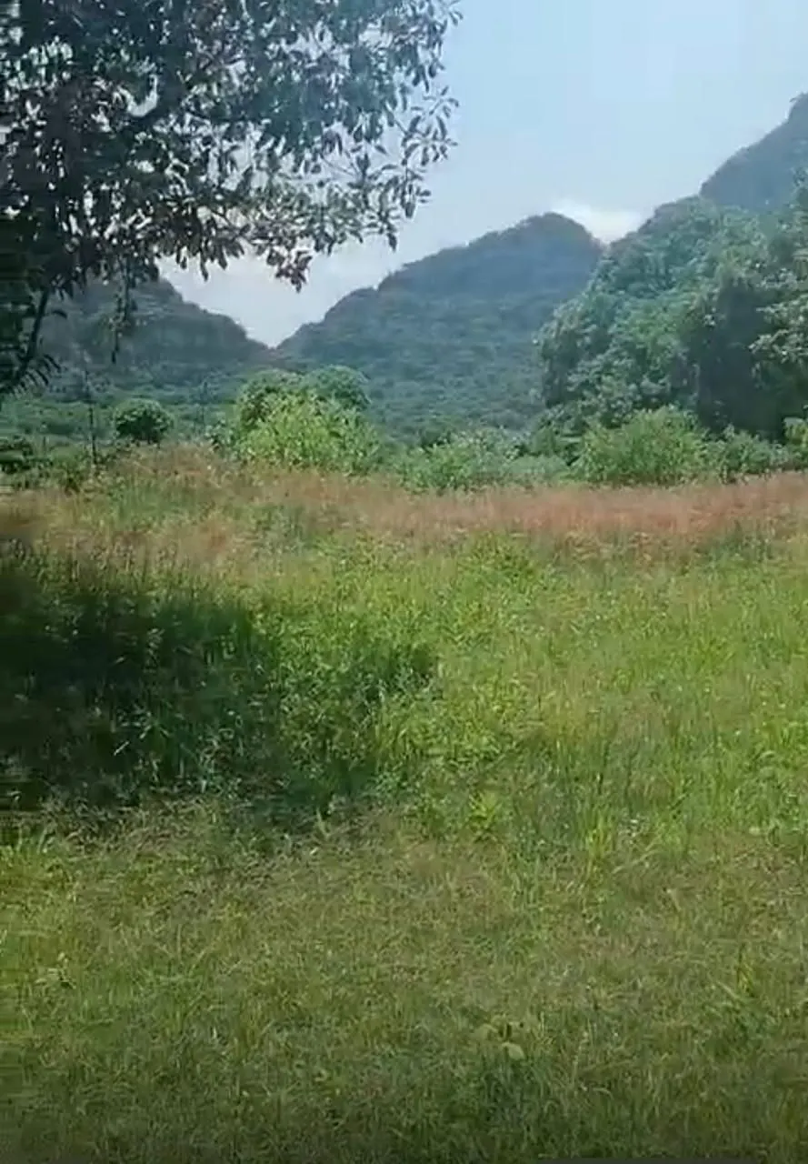 Terreno Spot2