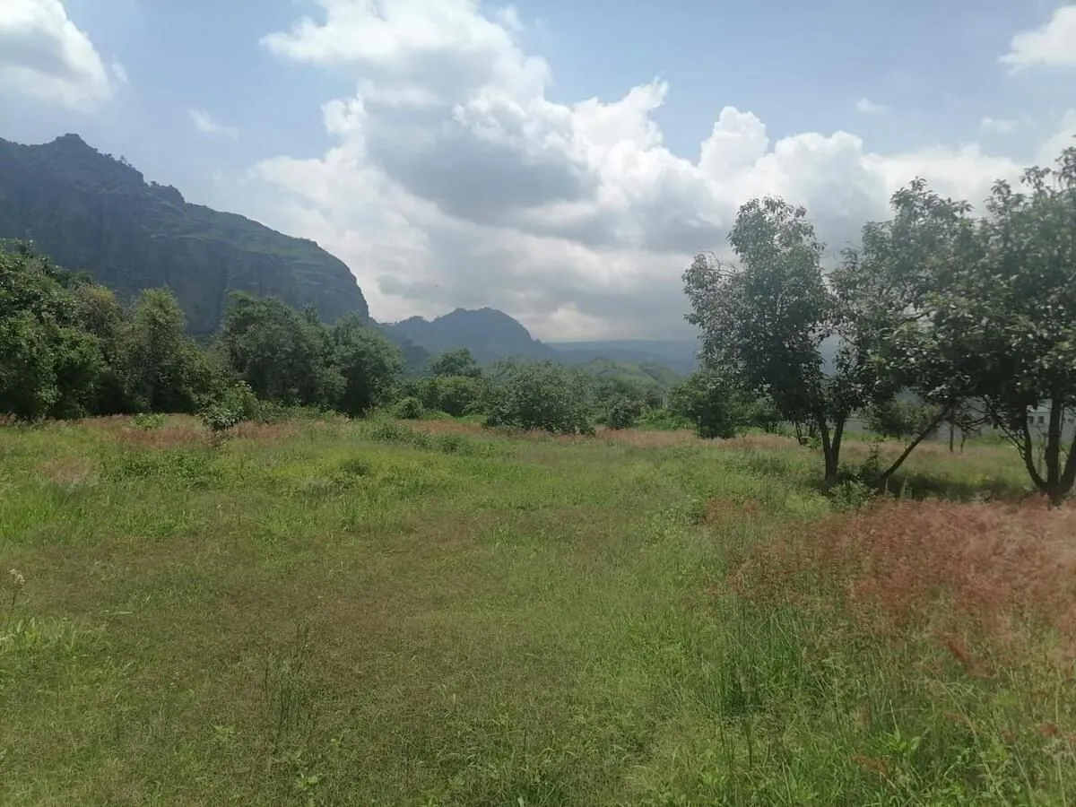 Terreno Spot2