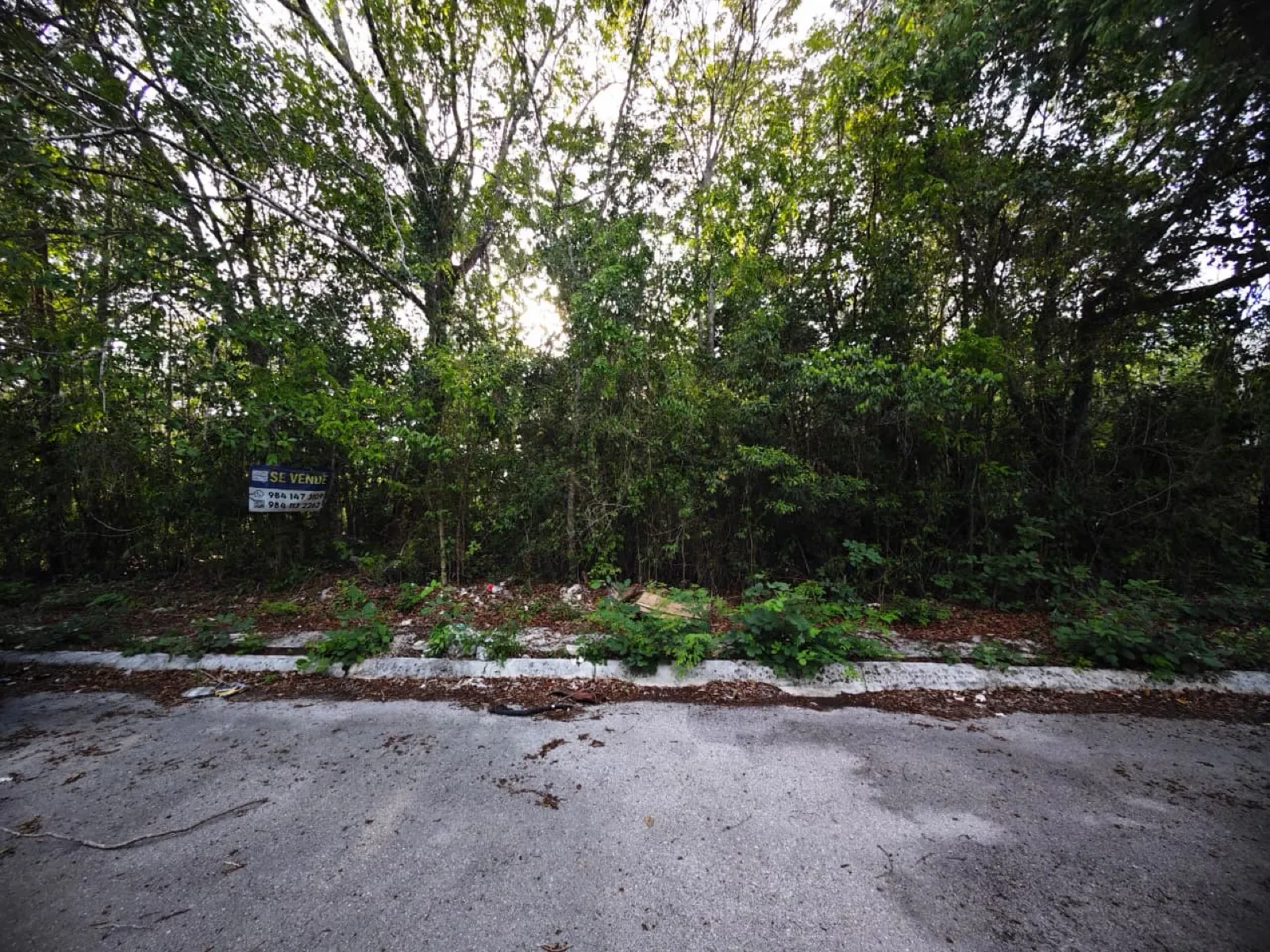 Terreno Spot2
