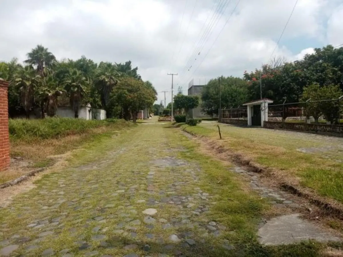 Terreno Spot2