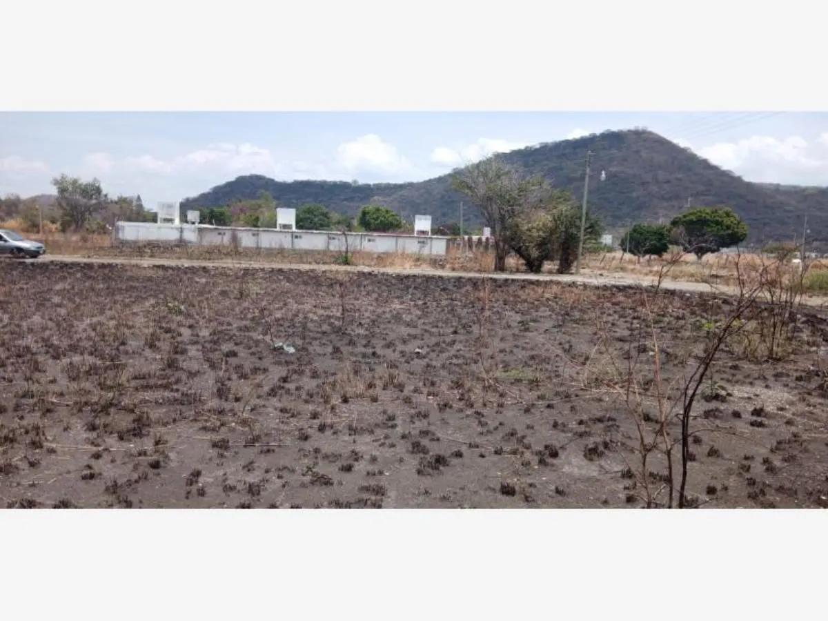 Terreno Spot2