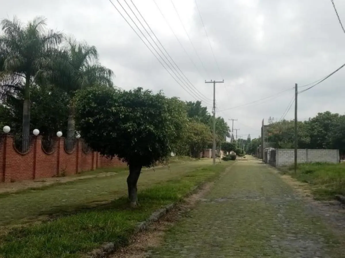 Terreno Spot2