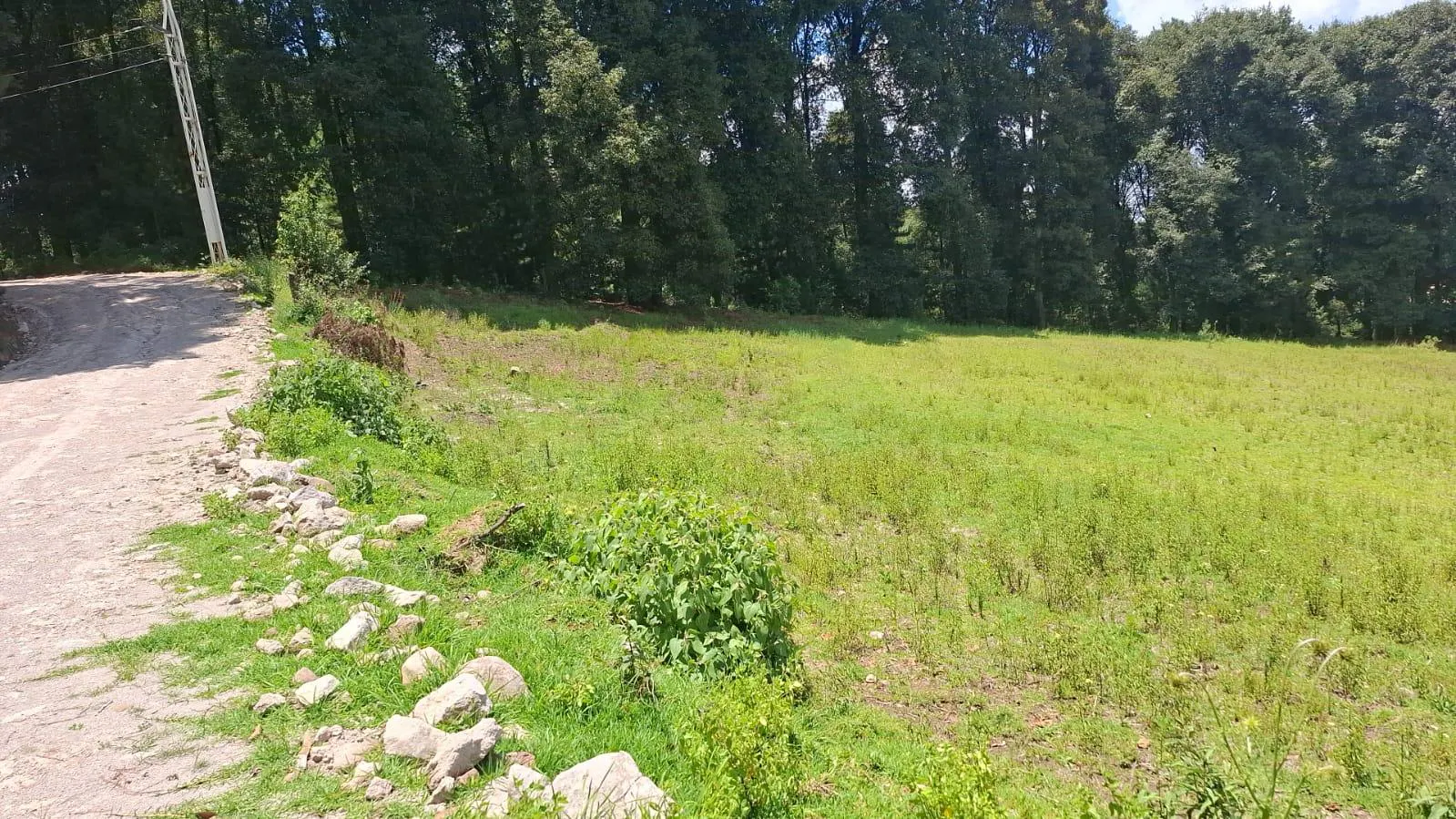 Terreno Spot2